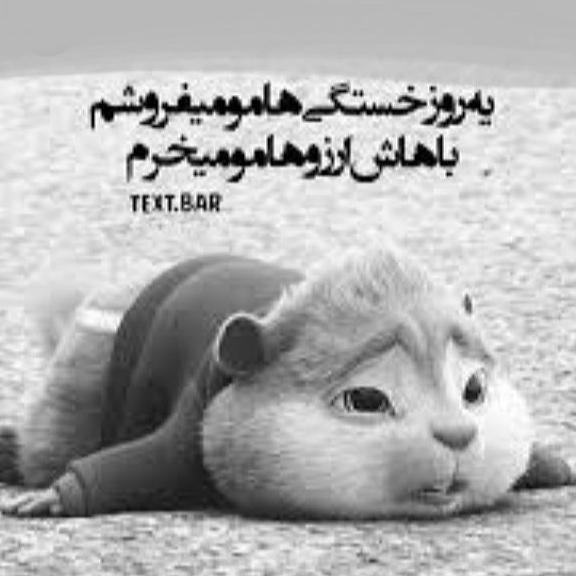 Mozhdeh Dehghan Moghadam