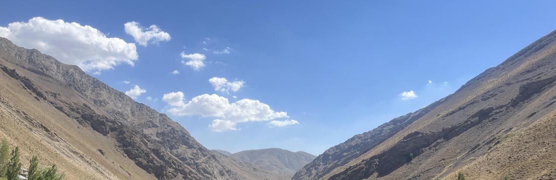 بی تا جمشیدی